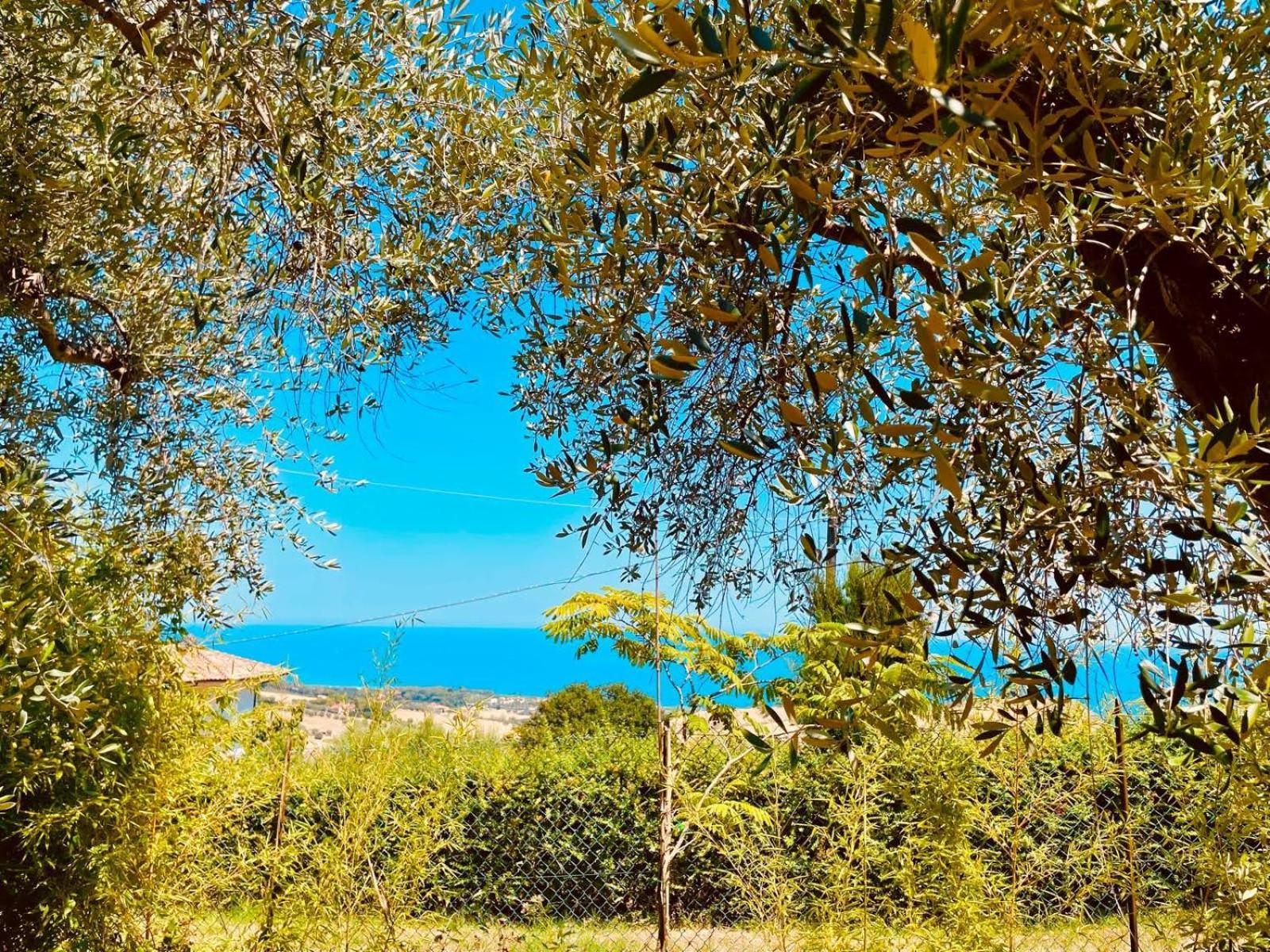 Villa In Collina Vista Mare Розето-дельи-Абруцци Экстерьер фото